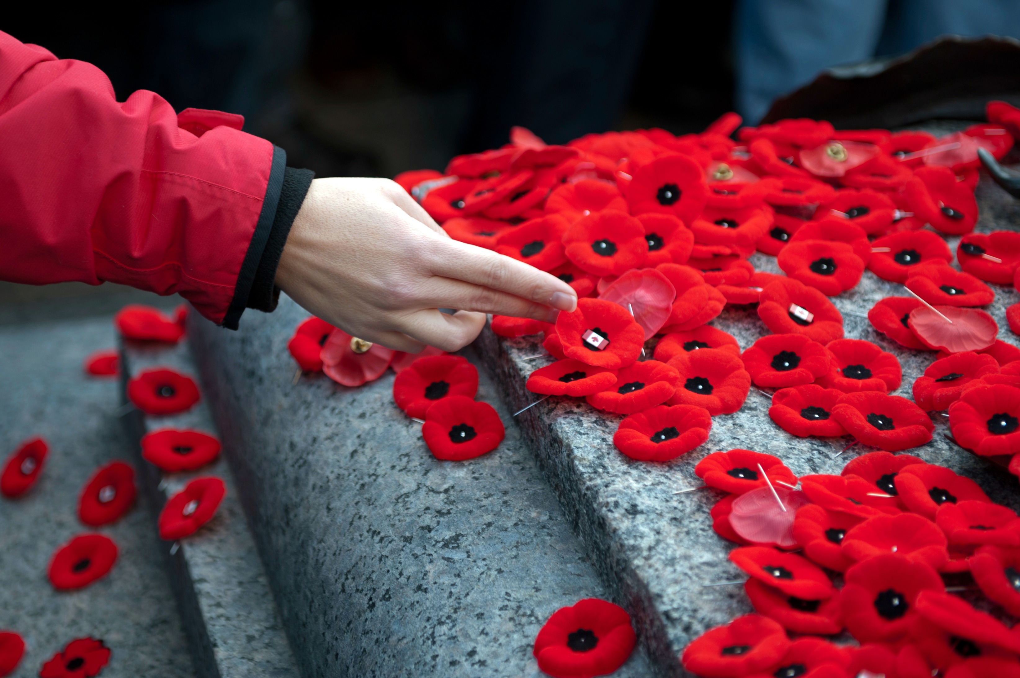 wrong-holiday-spirit-wait-until-after-remembrance-day-to-celebrate