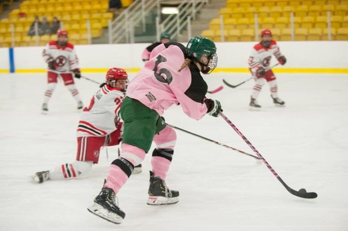 UPEI Panthers Hockey play five tough games over weekend