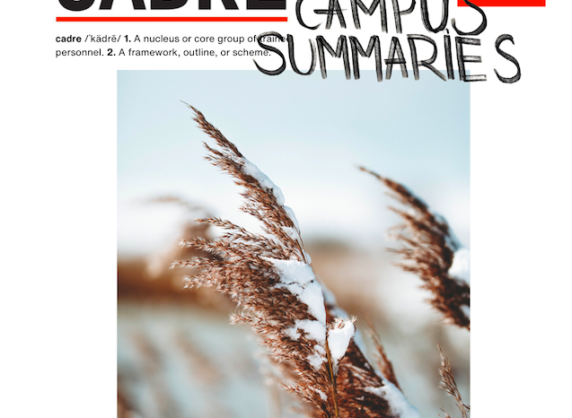 The Cadre: Snowy Campus Summaries